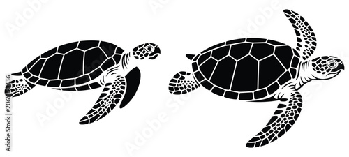 Foto Sea Turtle Silhouettes On White Background Marine Wildlife Illustration