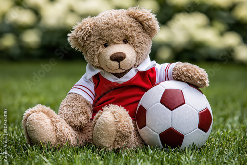 teddy bear with soccer ball