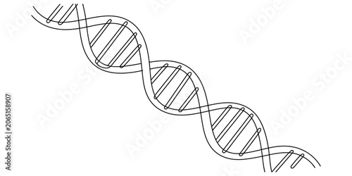 Photos Black and white line art illustration of a dna double helix strand representing