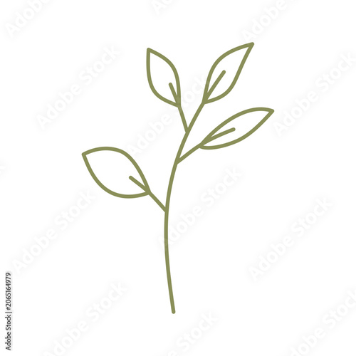 Leaf line art icon