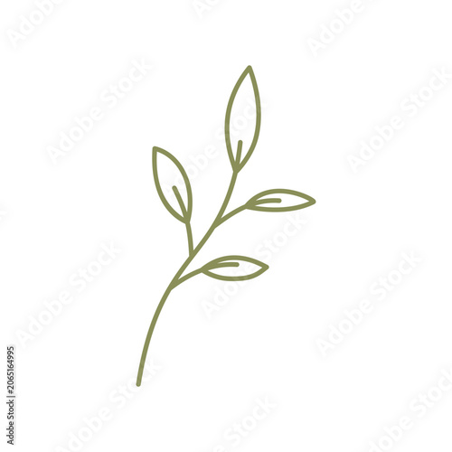 Leaf line art icon