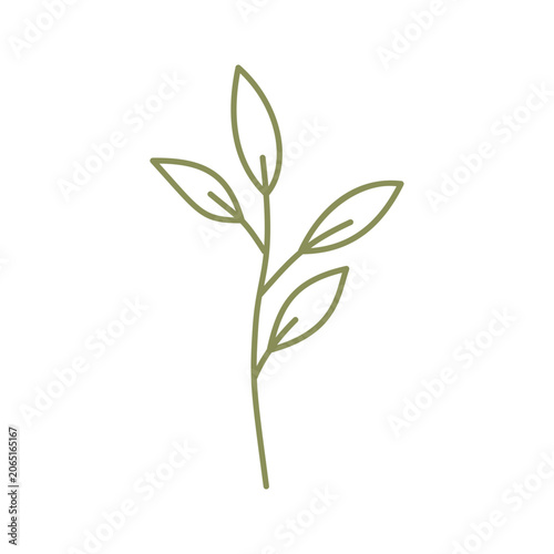 Leaf line art icon