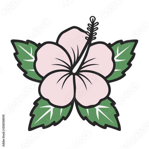 Pink Hibiscus Flower with Green Leaves Illustration