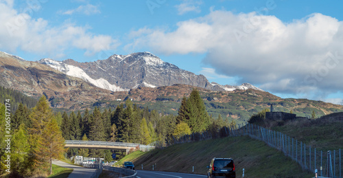 Alpine roadside scenery