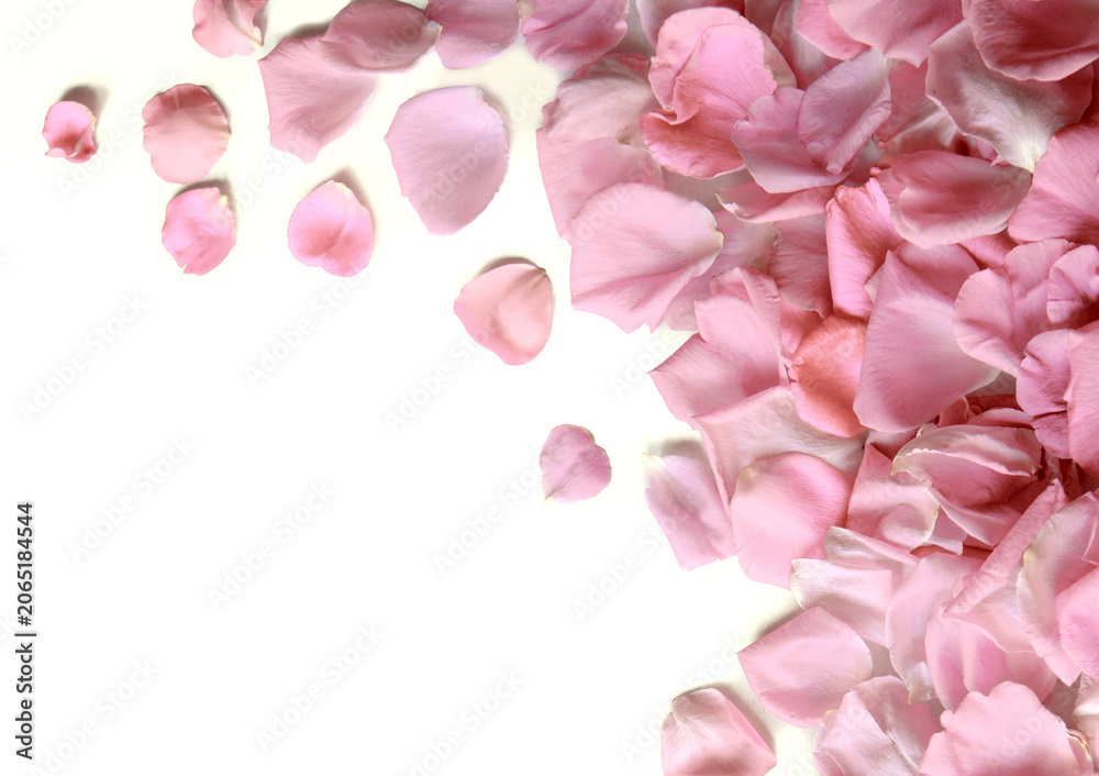 Obraz premium Natural background of rose petals