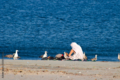 Valokuva A person sits wrapped in a white towel near seagulls and surf on the shoreline