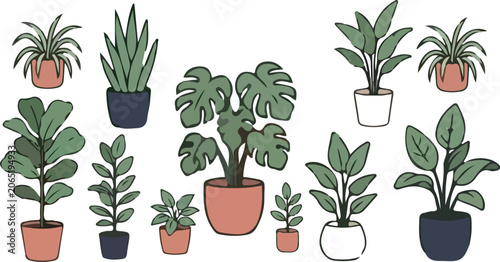 Photos Cute potted green indoor plants collection flat line art botanical doodle graphi