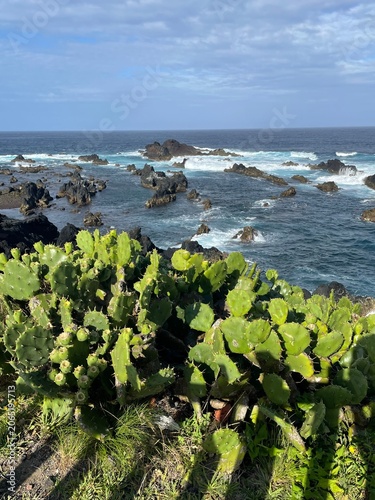 Картината върху платно Mer déchainée aux Açores, Portugal