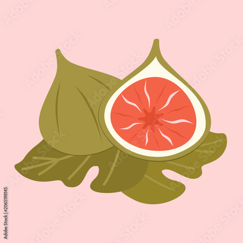 cute hand drawn juicy green figs on leaves vector illustration isolated on pink background 