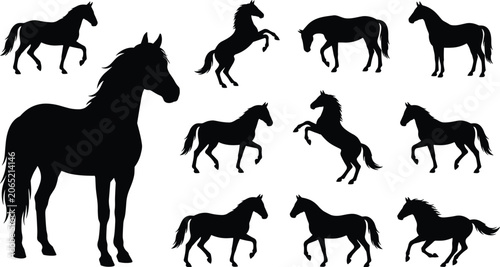 Foto Set of horse silhouettes in various poses including running trotting rearing and