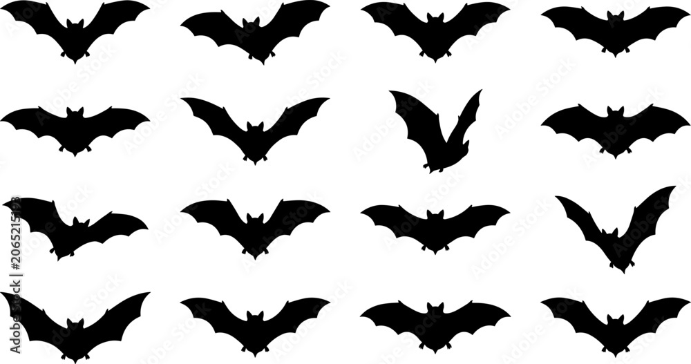 Fototapeta premium Flying Bat Silhouettes Collection Halloween Nocturnal Wildlife Black and White Vector Illustration Set