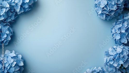 Blue hydrangea flowers on a light blue background