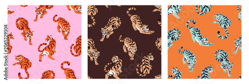 Photography Set of seamless patterns with wild tiger in different poses
