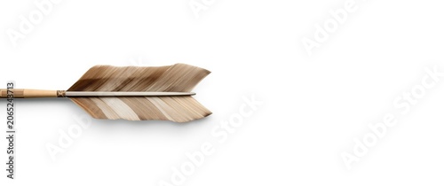 Arrow with a unique feather design on a white background
