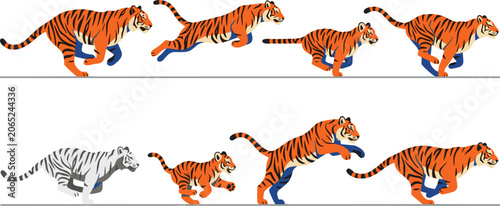 Fotografija Running and Leaping Tiger Motion Sequence Set with Wild Cat Animation Frames, Wh