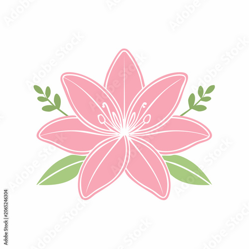 Pink Lily Flower Illustration