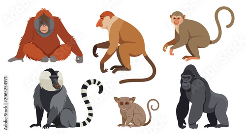 Diverse collection of primate species including a gorilla, orangutan, proboscis monkey, baboon, lemur, and other monkey types.
