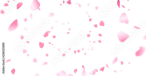 Bilde på lerret Beautiful floral overlay with flying pink petals at transparent background