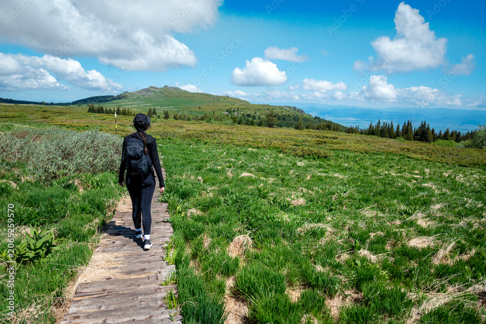 Fototapeta premium Hiker woman with backpack walking in the summer mountain