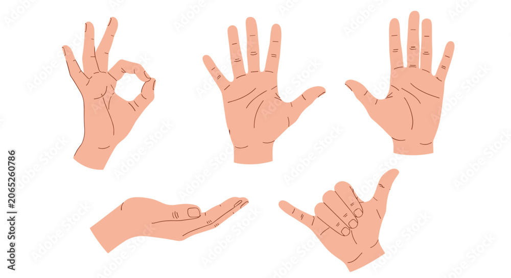 Fototapeta premium Set of five human hand gestures including ok sign, open palm, and shaka sign against a plain white background for communication concepts.