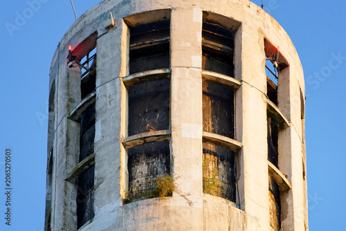 A pair of peregrine falcons  on concrete  chimney of a central heating plant in Paris suburb. Ivry-sur-Seine city