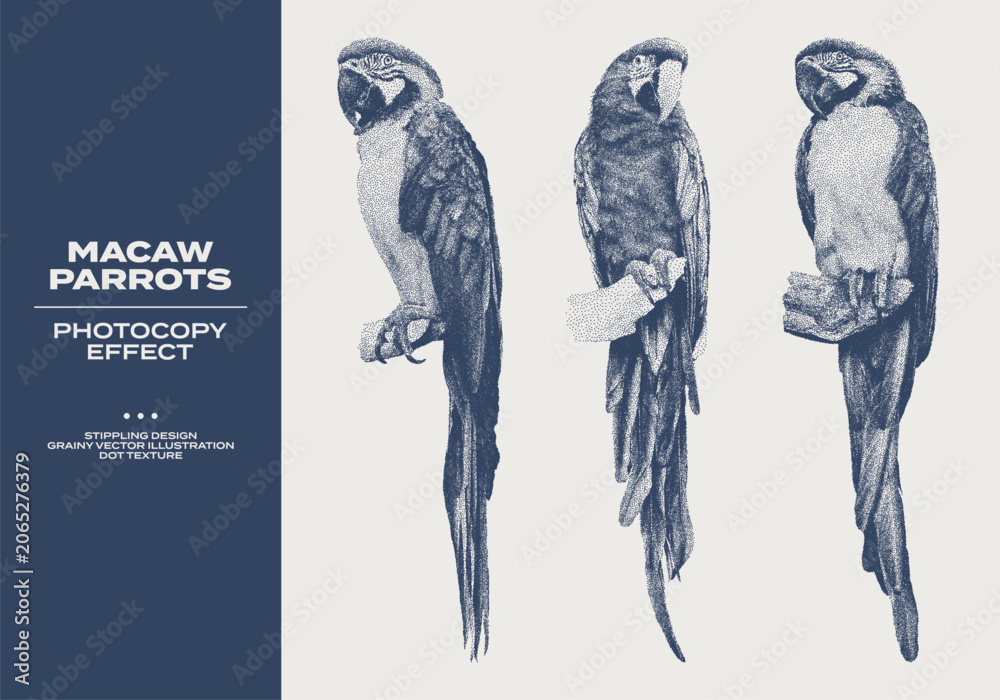 Obraz premium Vintage set of macaw parrots with grunge stippling effect. Retro dotted texture illustrations of Ara parrots sitting on a branch. Photocopy grainy art with tropical birds in halftone tones