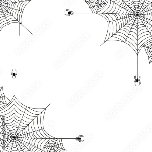 Photos Spiders and their intricate webs detail.