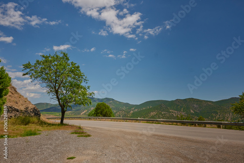 Tableau sur toile Tree by the Road in the Crimean Mountains