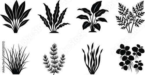 Set of black silhouette aquatic plants and water weeds