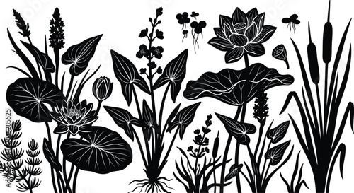Black silhouette set of aquatic plants and lotus flowers