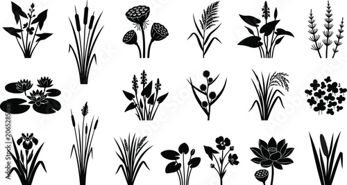 Set of black aquatic plant silhouettes and water flowers
