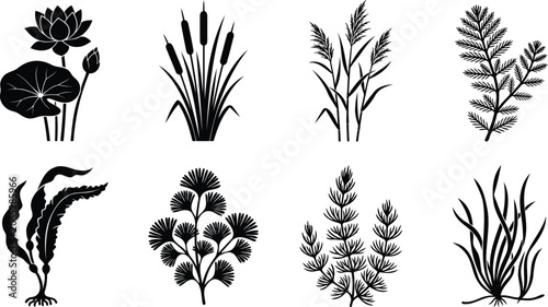 Set of black aquatic plants and water flowers silhouettes