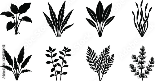 Set of black aquarium plant silhouettes