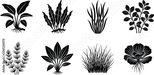 Set of black aquarium plant icons and water weeds