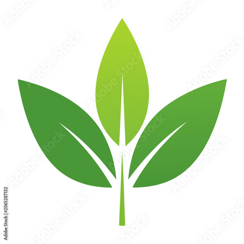 Green leaf icon with transparent background