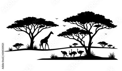 Photography Wildlife of Africa Black Silhouette Panorama with Giraffe Ostriches and Savannah