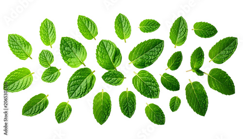 Fresh mint leaves arranged as an elegant dessert garnish, vivid green colour, isolated on transparent background, realistic botanical detail