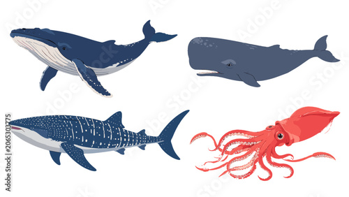 Fotografie Deep ocean animal vector set with whale, shark, and squid