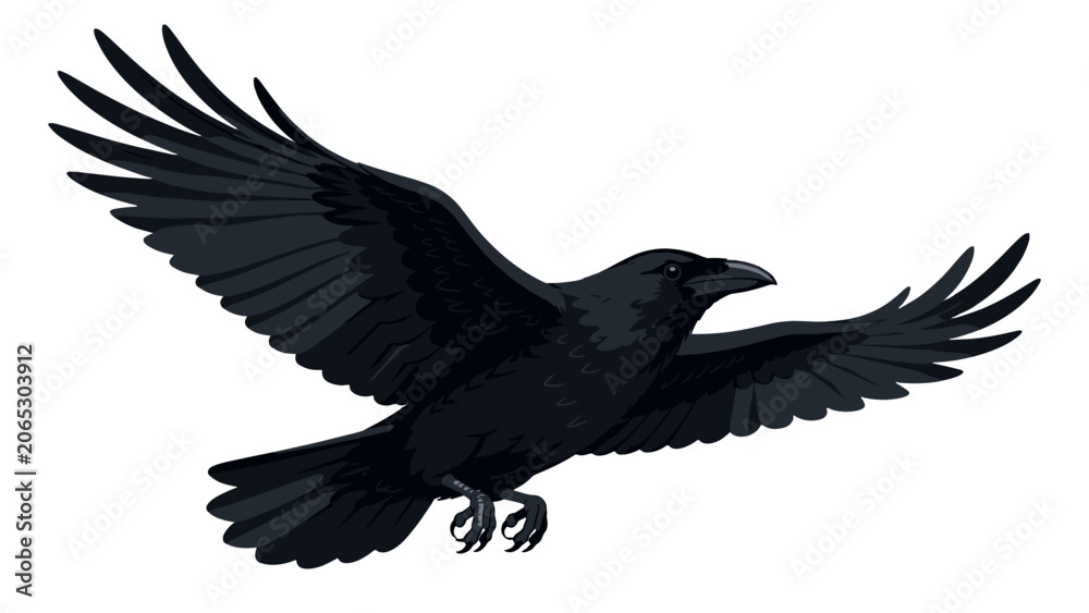 Obraz premium Black raven in flight with wings spread vector illustration