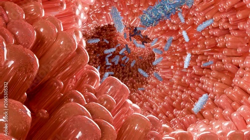 Bacteria Moving Between Intestinal Microvilli, Gut Microbiota and Absorption Process, Probiotic Microorganisms Traveling Through the Digestive System, 3d render