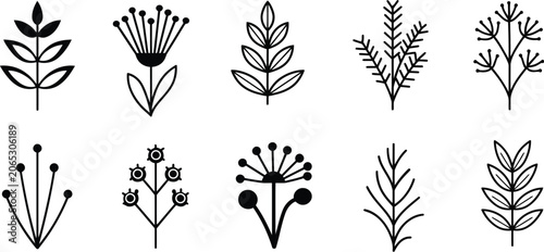 Leaves icon set featuring various botanical shapes and lines