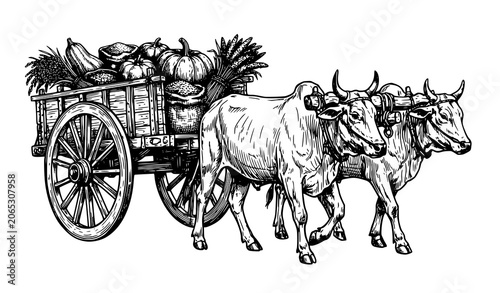 Foto Rural Bullock Cart Agricultural Sketch Vector Illustration with Traditional Oxen