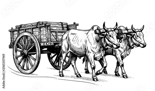 Foto Traditional Bullock Cart Hand Drawn Sketch Vector Illustration Isolated on White
