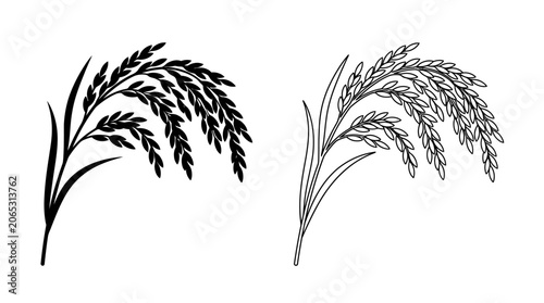 Schilderij op canvas Rice stalks illustration black and white linear drawing on a white background