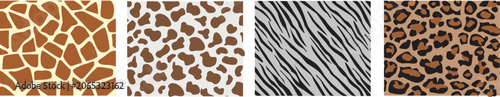 Photography 4 prints of fashionable patterns: leopard, zebra, giraffe and cow