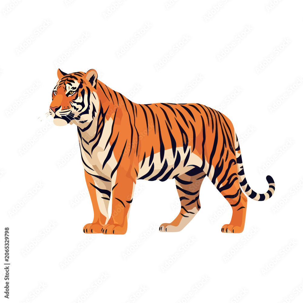 Obraz premium Tiger standing in profile view.