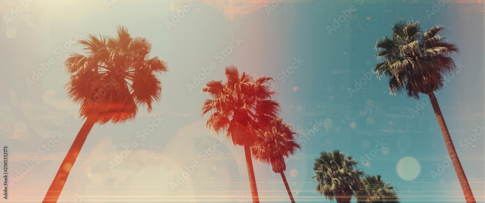 Fototapeta premium Palm trees against a blue sky with a light overlay