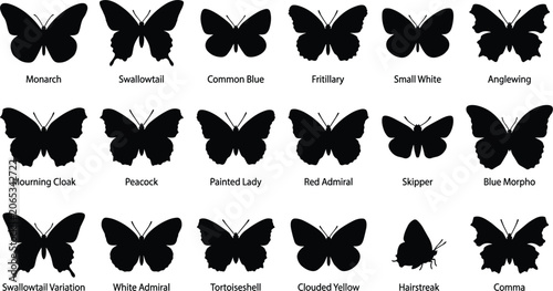 Foto Butterfly Silhouette Species Chart Featuring Monarch Swallowtail Blue Morpho and