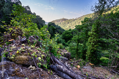 Cerro Pajarero