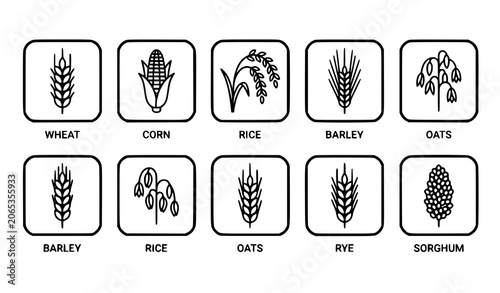 Schilderij op canvas Modern minimalist outline icons set of cereal crops including wheat, corn, rice,